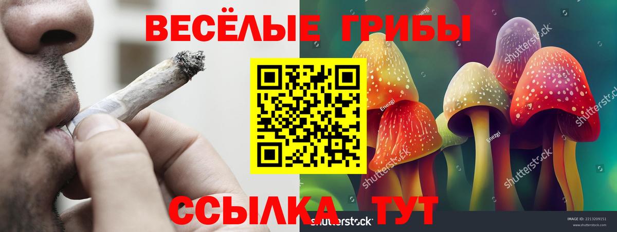 Галлюциногенные грибы GOLDEN TEACHER Улан-Удэ